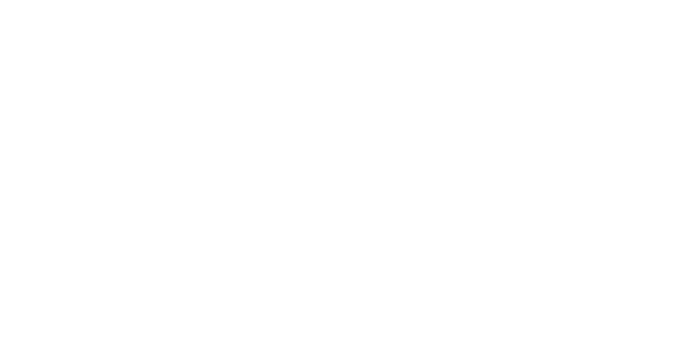 The CITIZEN