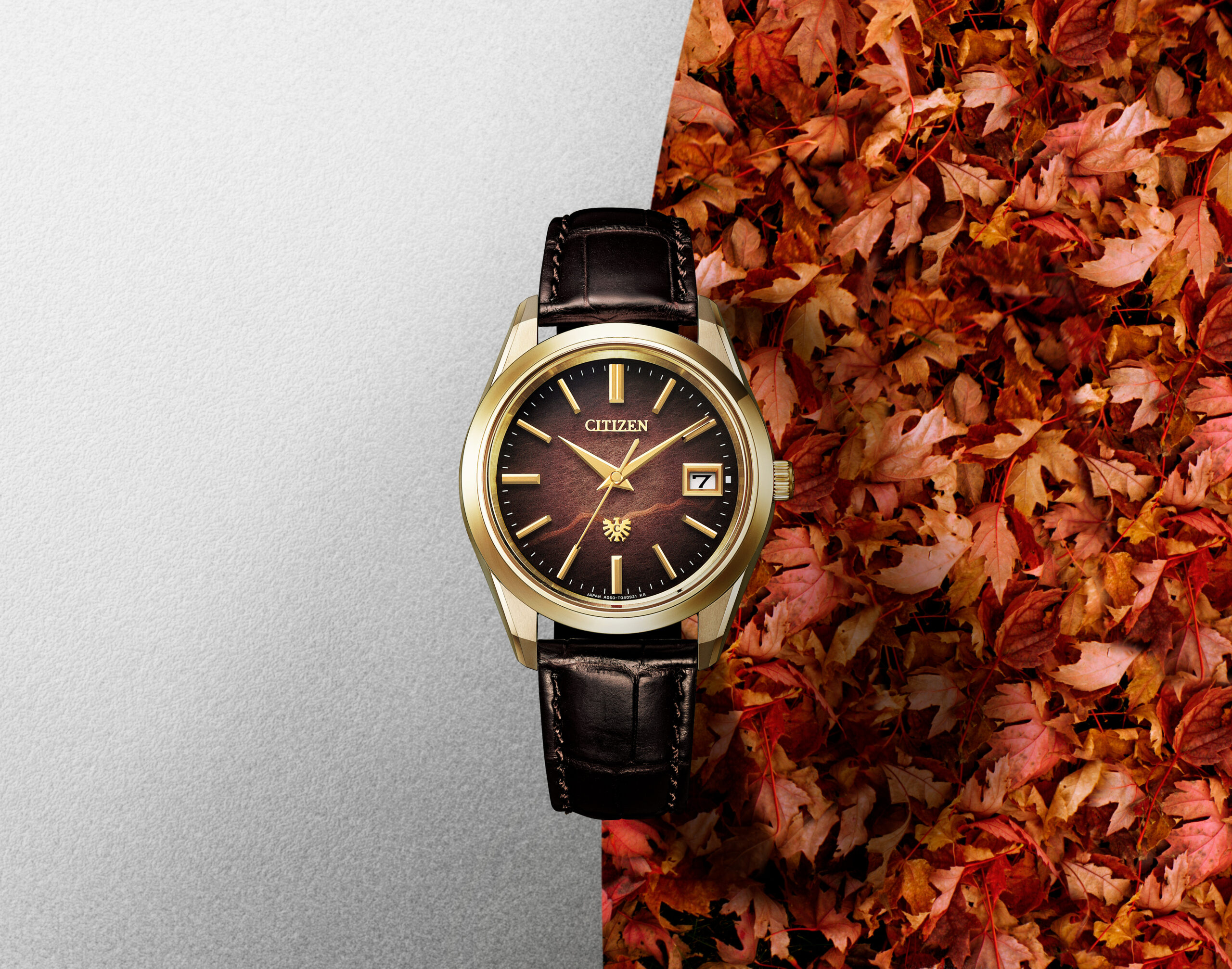 https://www.gracis-watch.com