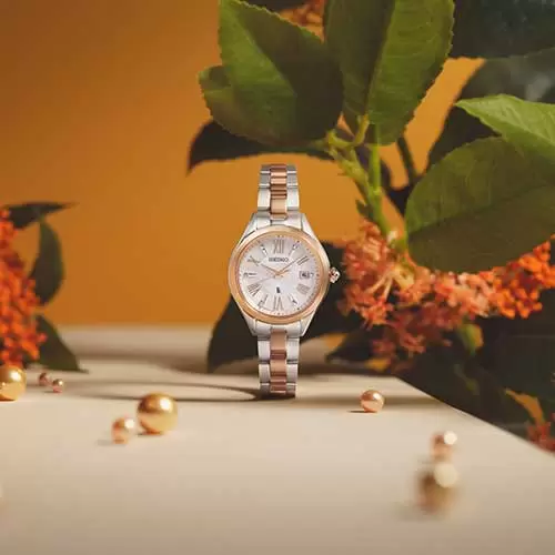 https://www.gracis-watch.com