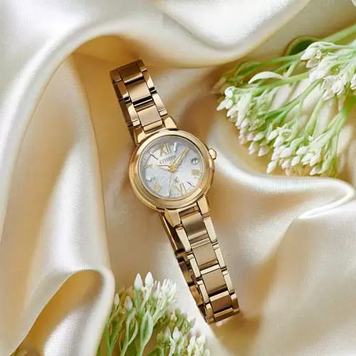 https://www.gracis-watch.com
