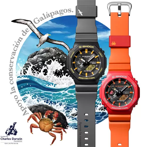 https://www.gracis-watch.com
