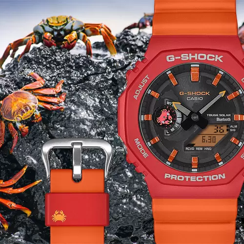 https://www.gracis-watch.com
