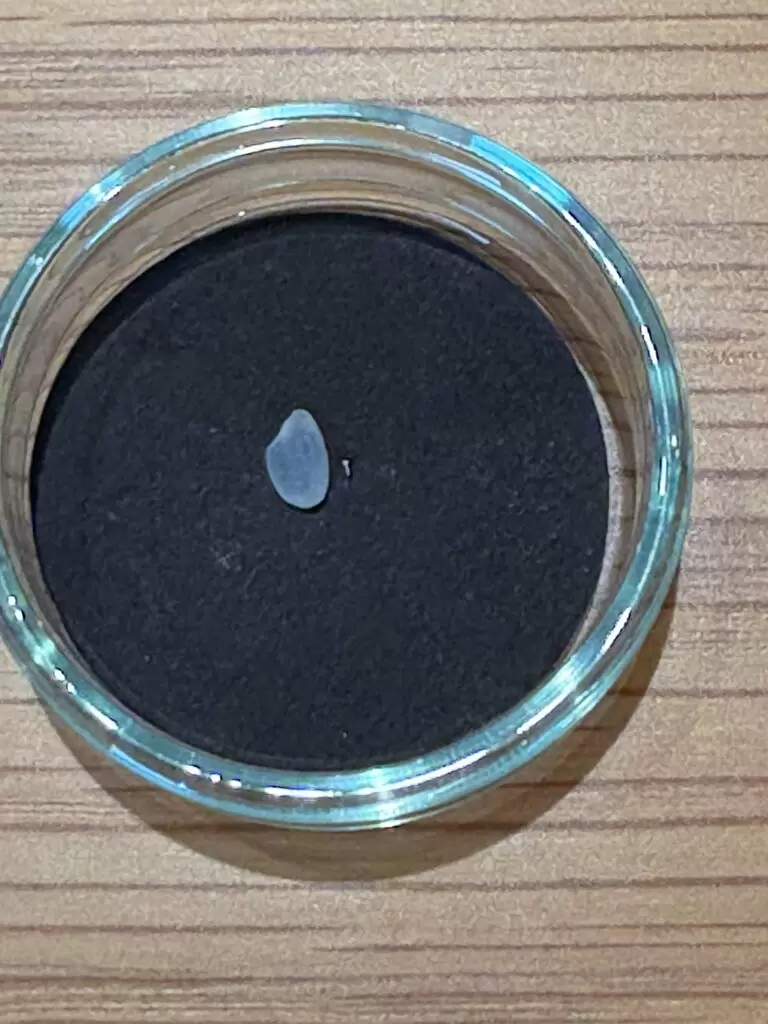 グランドセイコー雫石