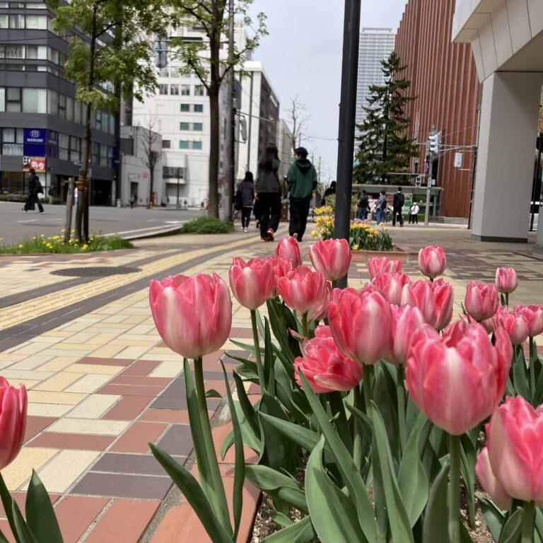 王道。
