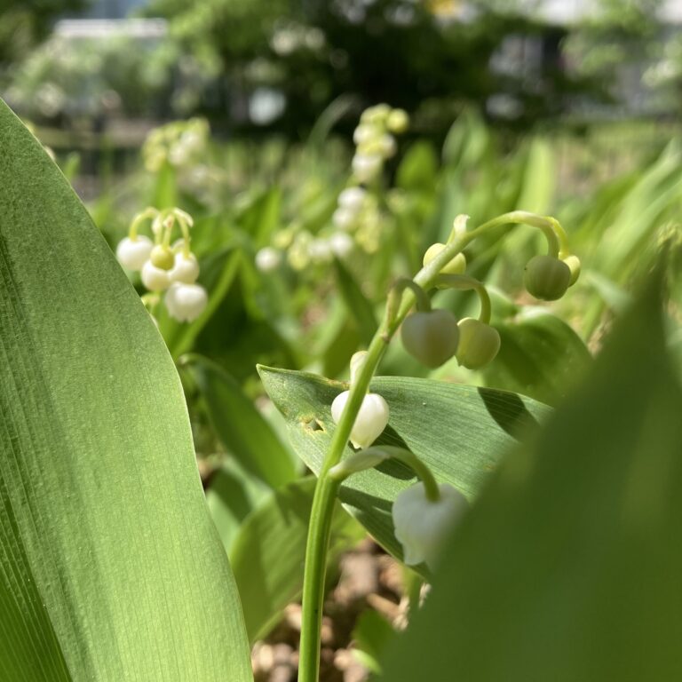 大胆に秒針が動くのも良いものです。