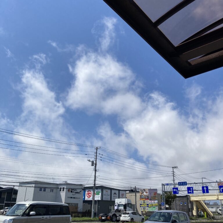 太陽とお友達。