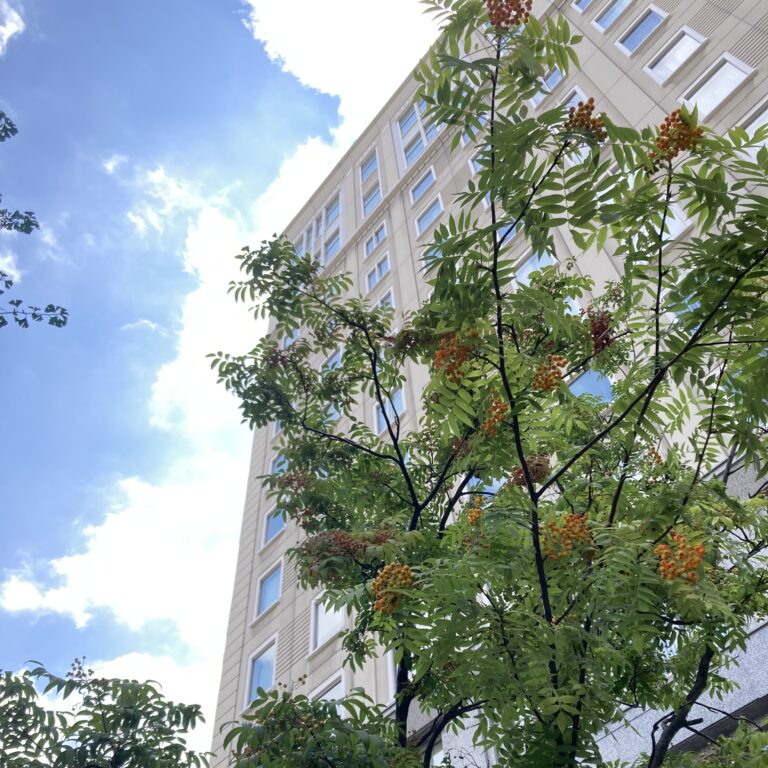 夏と秋の狭間に。