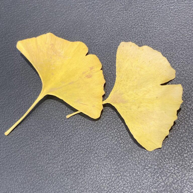 悩ましいものは。