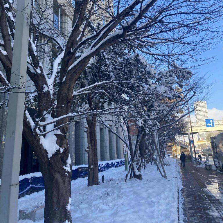 シンプルな時計と言えば。