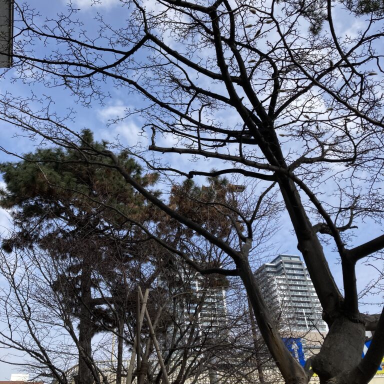 新作と深い緑と大地の息吹。