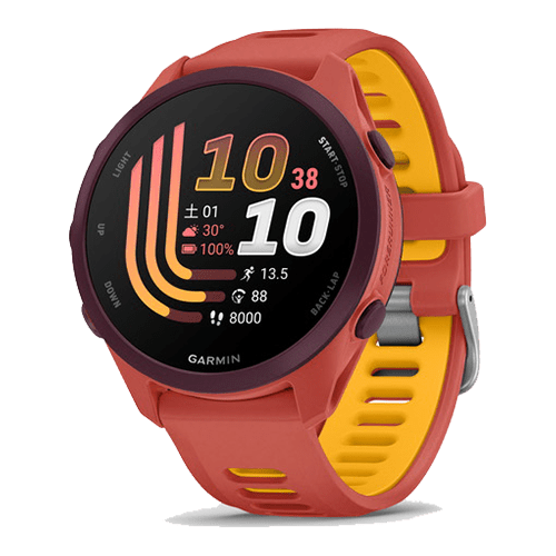 Forerunner 170 Music 010-03920-45