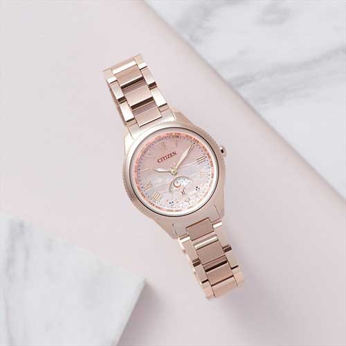 https://www.gracis-watch.com