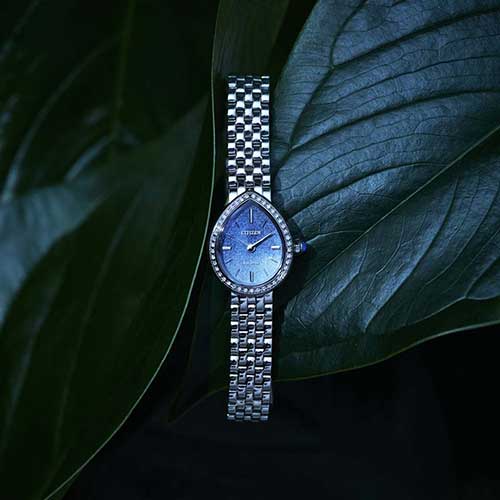 https://www.gracis-watch.com